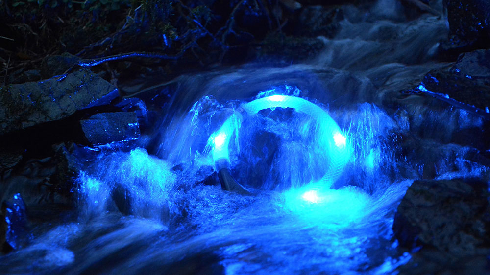 LED-lichtkraag LEUCHTIE in de bergbeek