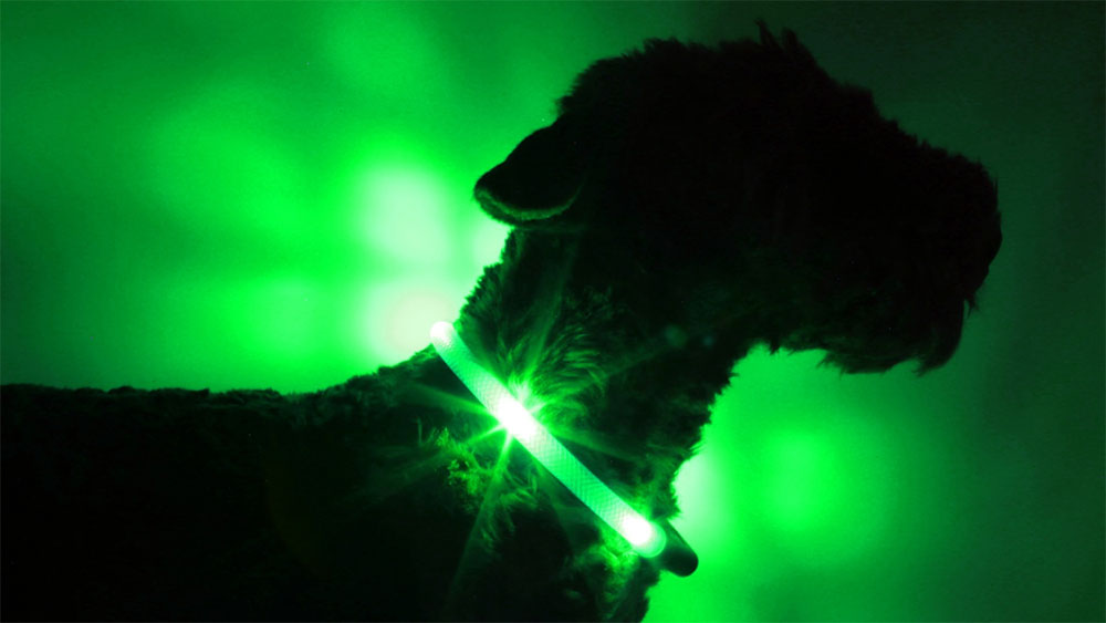 LED-lichtkraag LEUCHTIE in de extreem heldere versie groen in transparante buis